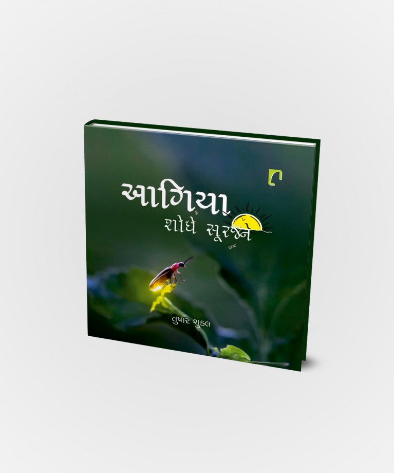 Aagiya Shodhe Surajne