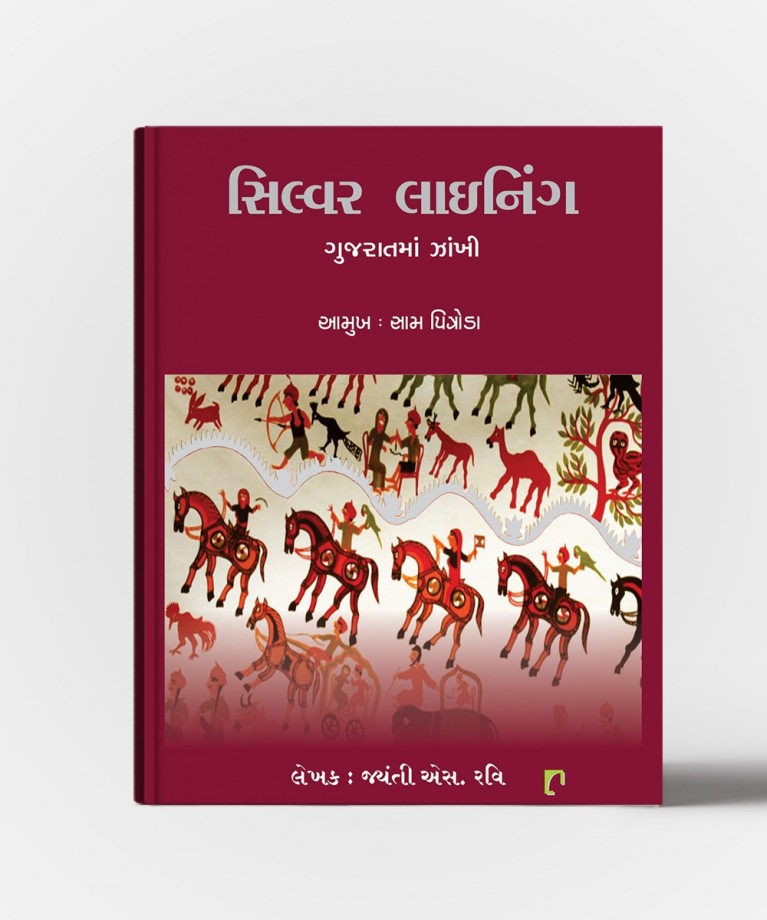 Silver Lining: Gujaratma Zankhi
