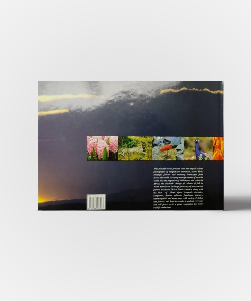 My Journey into the wild