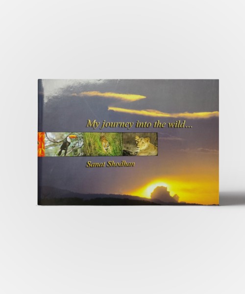 My Journey into the wild